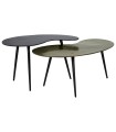 MESA AUXILIAR IRREGULAR SET DE 2